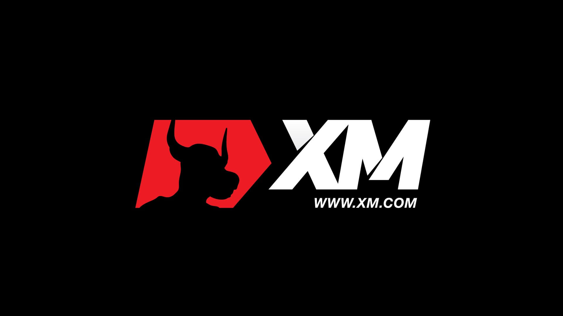 تقييم شركة XM للوساطة المالية 2022