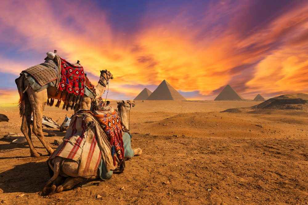 كيفية تنمية الأموال واستثمار مبلغ بسيط في مصر