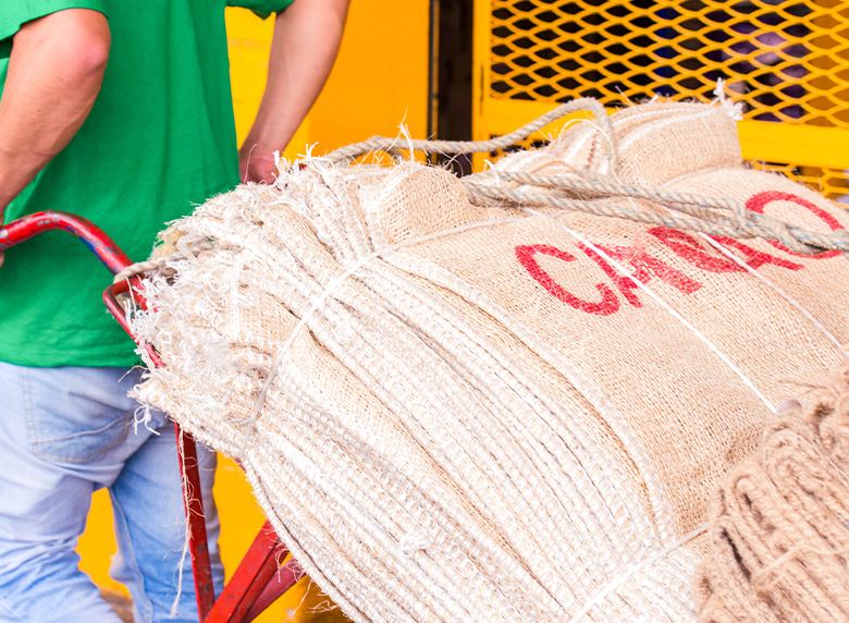 نظرة على سوق الكاكاو: كيف تتداول الكاكاو