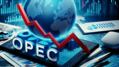 Inflation in the Eurozone and the OPEC+ decision