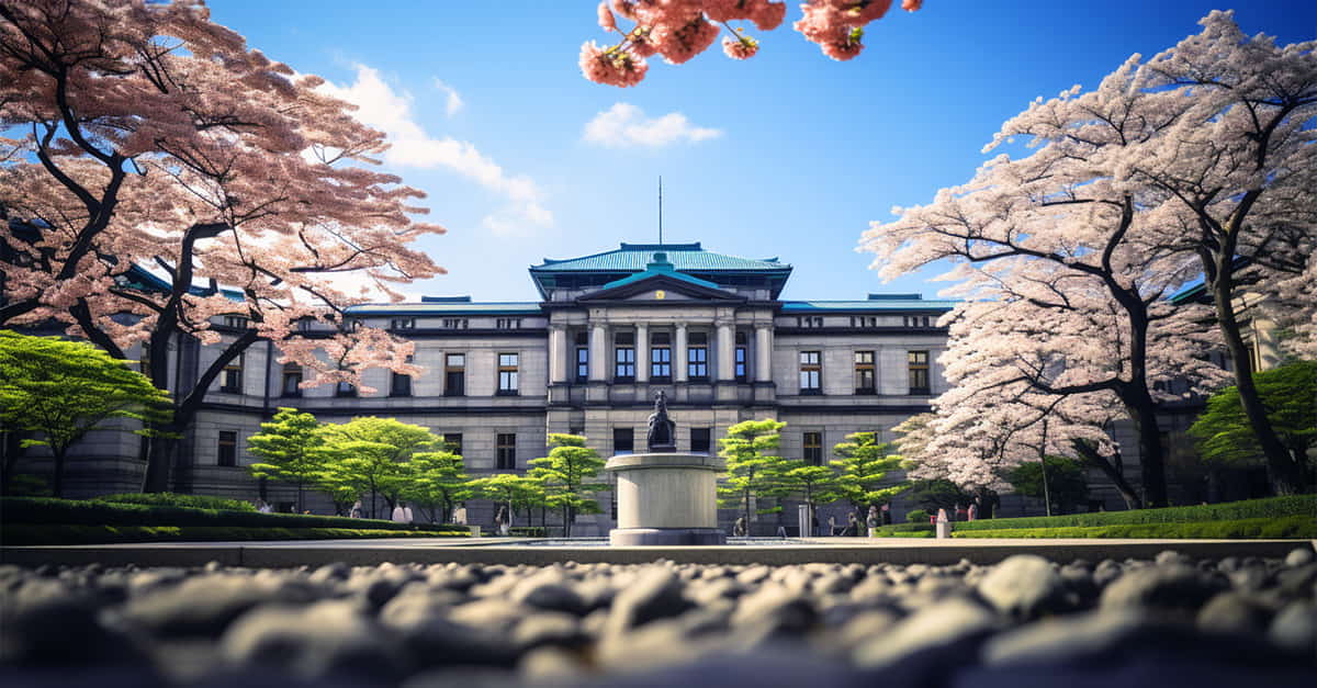 Expectations of the Bank of Japan's decision