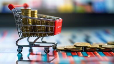 impact of the Consumer Price Index