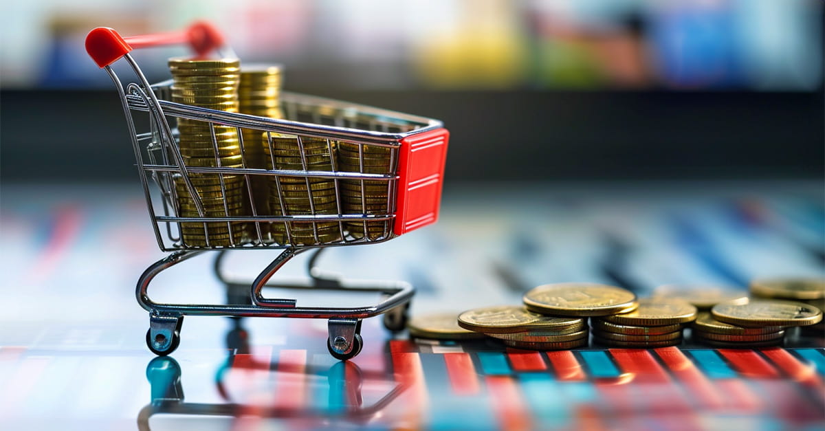 impact of the Consumer Price Index